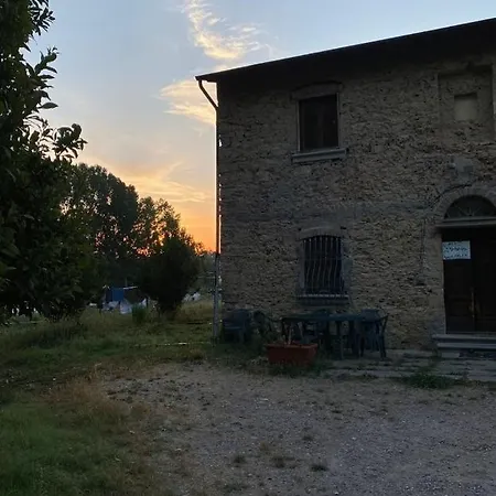 Olivieri Lari