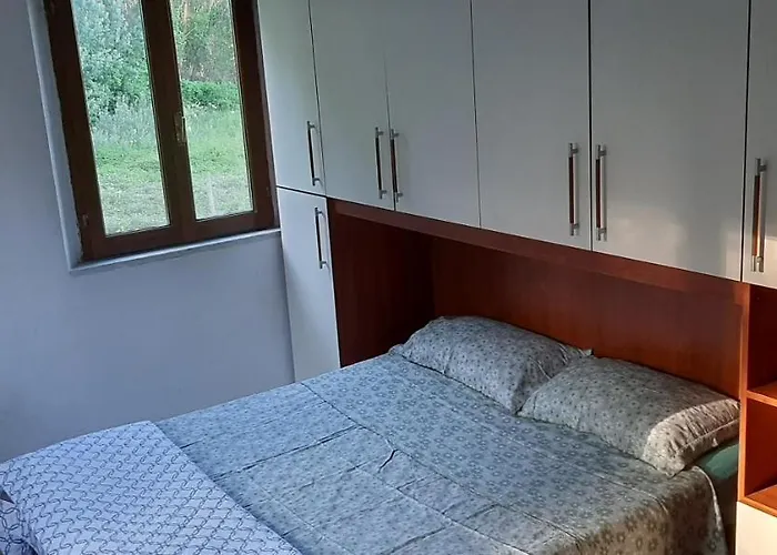 Olivieri * 라리